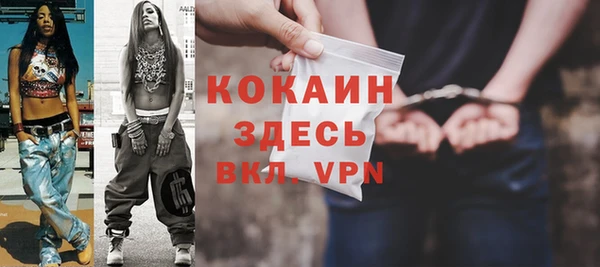 ГАЛЛЮЦИНОГЕННЫЕ ГРИБЫ Новозыбков