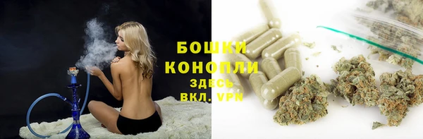 соль ск Бежецк