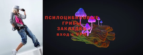 стаф Нязепетровск