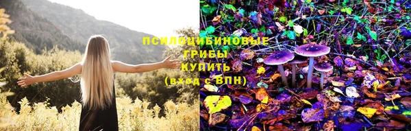 соль ск Бежецк