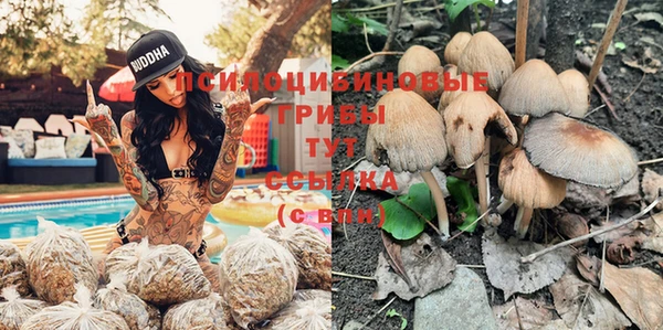 a pvp Нягань