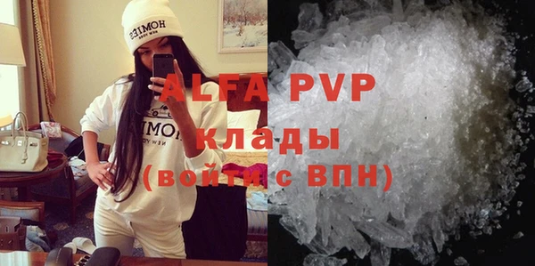 ГАЛЛЮЦИНОГЕННЫЕ ГРИБЫ Новозыбков