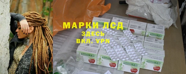 ГАЛЛЮЦИНОГЕННЫЕ ГРИБЫ Новозыбков