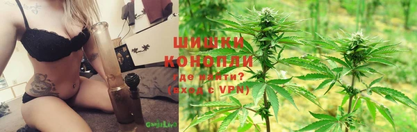 mdpv Новодвинск