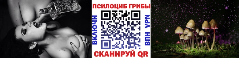 Псилоцибиновые грибы мицелий  Кодинск 